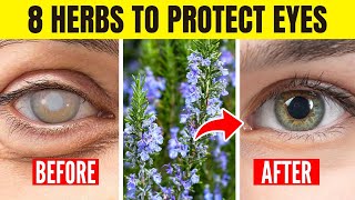 8 Herbs to Protect Eyes and Repair Vision