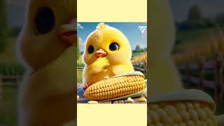 Small duck eats corn #elpatitojuan #shortvideo #trending #usa #brazil #mexico #duck #cute #funny