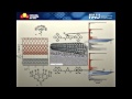 Nanocarbon Hybrids: The Paradigm of Nanoscale...