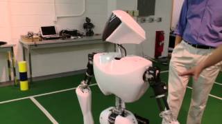 How Do Robots Walk?
