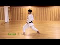 karate basics maegeri 2 with step forward・空手基本、前蹴り（２）