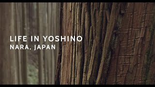 LIFE IN YOSHINO, JAPAN (English version)