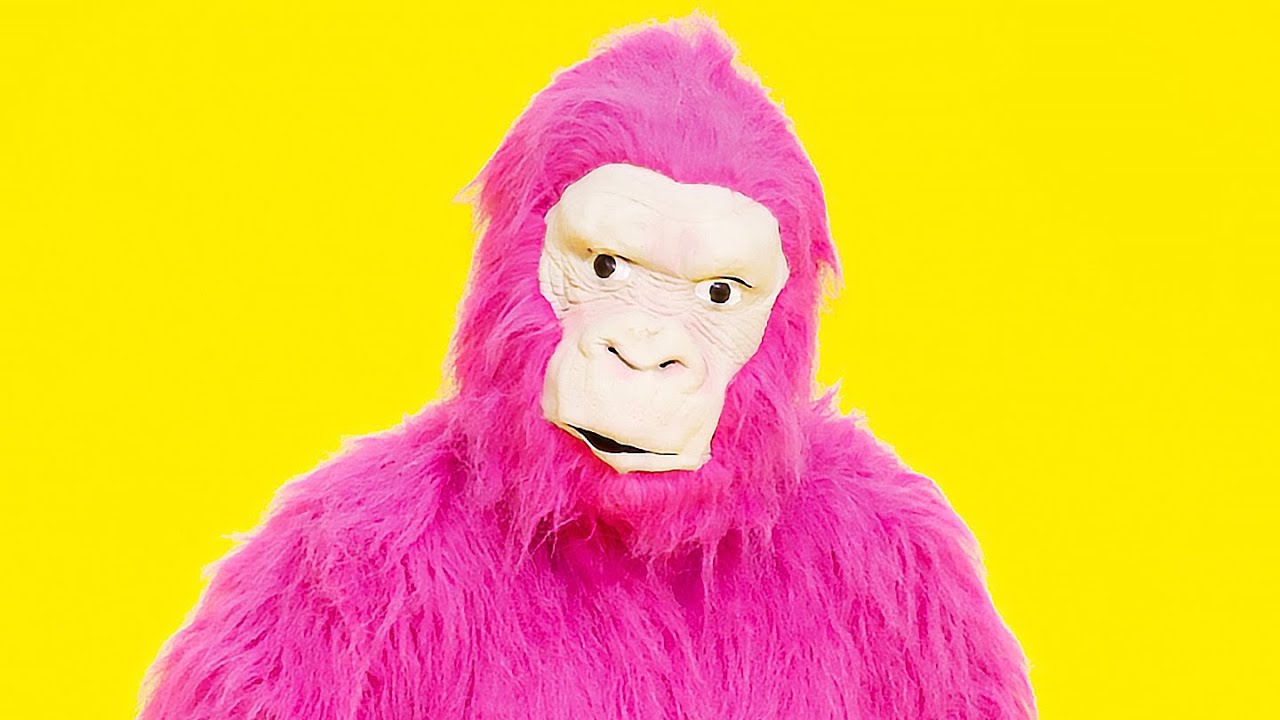 Dancing Gorilla Youtube