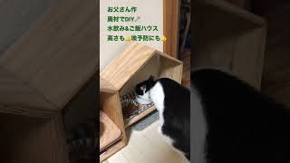 【猫のためのDIY】#diy #forcats #ハンドメイド #保護猫と暮らす #楽しく仕事 #猫のいる暮らし