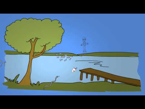 How to Formulate a Hypothesis How to Formulate a Hypothesis