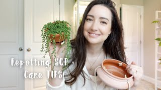 How to Repot String of Pearls plant + Care Tips! | Chatty repot with me!