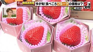 イチゴが値下がり！　1個1500円の特大イチゴも！　甘～いミカンも初入荷！　名古屋 【価格調査】(2023年1月23日)