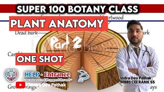 Anatomy one shot part 2 #mbbs #cee #entrancepreparation #medical #super100exam