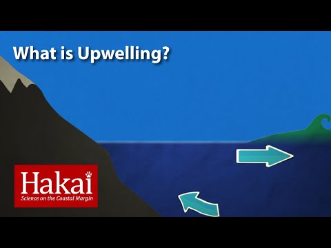 How is downwelling different from upwelling?