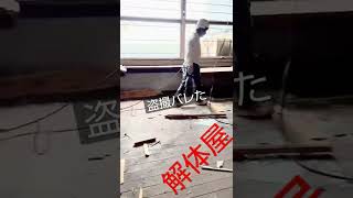 仕事中のおふざけ 解体屋 おふざけ 木造 仕事中 42才 盗撮 動画 レシプロソー セーバーソー#short