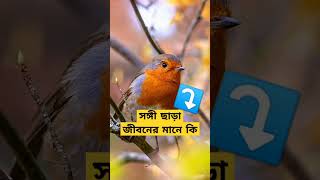 সঙ্গী ছাড়া জীবন।  #sabina_yasmin #banglamoviesong #banglapopularsong #banglasong #popularbnaglasong