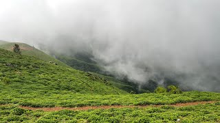 Travel to Chikkamagaluru♥️ Day 1 #chikmagalur #karnataka #chikmagalurdiaries #devaramane