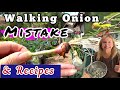 This MISTAKE Can End This Onion | How To Grow Egyptian Walking Onions NOW, Cucumber / Potato Salad