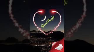 Good Night Gif