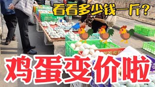 鸡蛋变价太吓人，看3月31日集市上卖多少钱一斤？大吃一惊~带你们看每天中国菜市场物价【茉茉妈vlog】