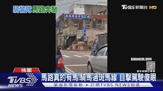 馬路真的有馬!騎馬過斑馬線 目擊駕駛傻眼｜TVBS新聞 @TVBSNEWS01