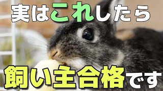 うさぎがこの行動をしてたら飼い主合格です