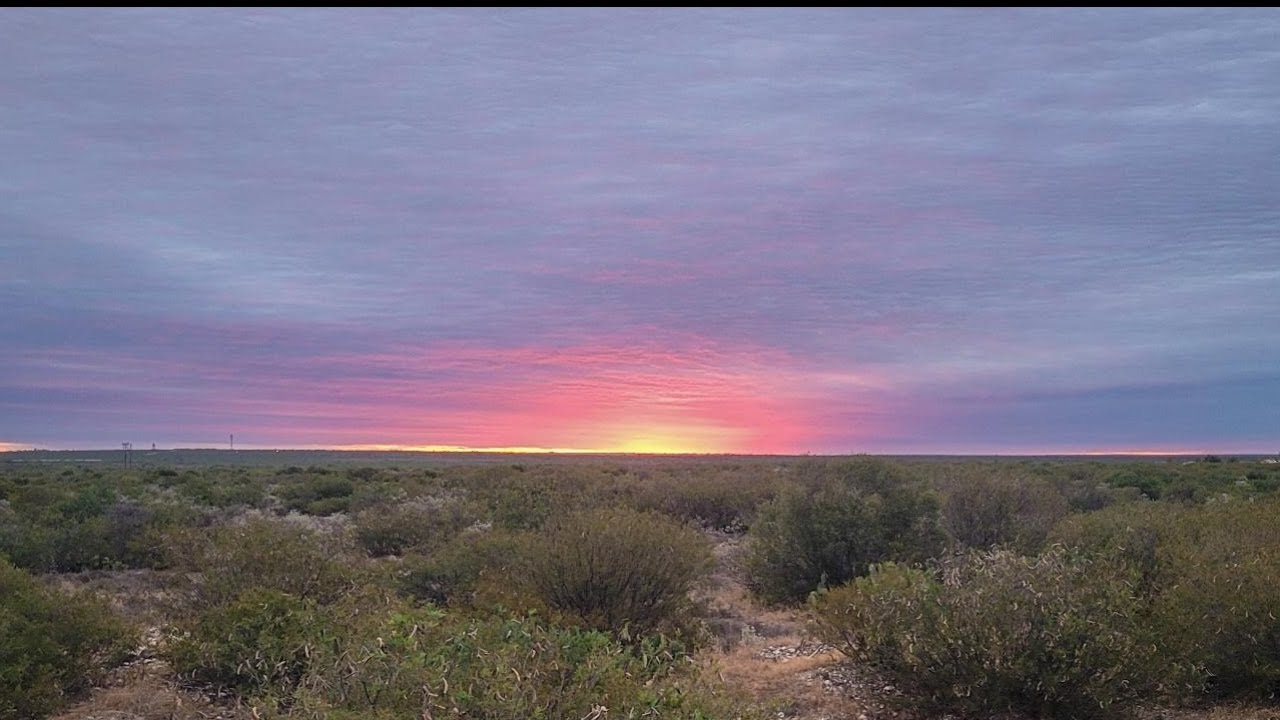 Liveshat 25oct2023 Youtube