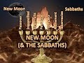 D35 2014-New Moon (& The Sabbaths)