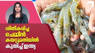 India's Shrimp Exports | ശീതീകരിച്ച ചെമ്മീൻ കയറ്റുമതിയിൽ കുതിച്ച് ഇന്ത്യ