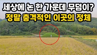 동네 할머니가 사람 무덤이 아니라는 데 아니 그럼 도대체 이 무덤 정체가 뭐죠?｜정체를 알고 진짜 깜짝 놀랐습니다｜오지는 오진다