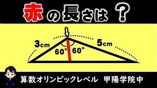 【中学入試算数】大人の方が苦戦する図形問題　2通りで解説