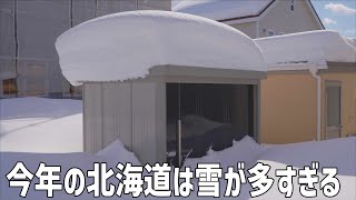 今年の北海道は大雪！観測史上最大の雪に襲われた翌日