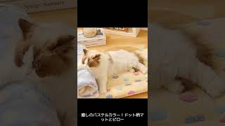 ケージ内でも快適！おすすめの猫用クッション5選 #ニャーネスト #猫ベッド #通販サイト