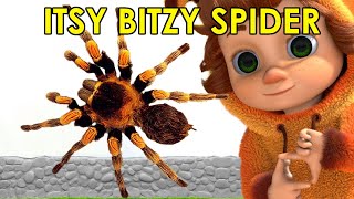 Itsy Bitsy Spider | Spider Song | Nursery Rhymes & Kids Songs | School Bell