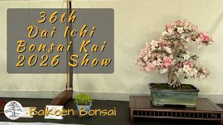 Dai Ichi Bonsai Club 2026 36th Annual Show - Bonsai Exhibition - Baikoen Bonsai Club