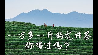 一万多一斤的龙井茶你喝过吗？