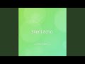 Silent Echo