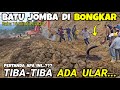 BATU JOMBA DI BONGKAR,Batu Jomba Terkini,Batu jomba hari ini #batujomba #batujombaterkini