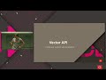 Vector API