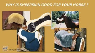 SADDLE \u0026 TACK REPAIR - WHY USE REAL SHEEPSKIN?  Expert Tips