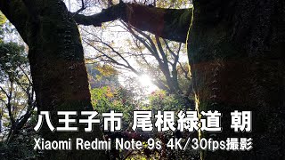 【4K】八王子市 尾根緑道 朝 Xiaomi Redmi Note 9s 4K/30fps動画【2021/11/06】