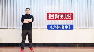 特警教官：少林擒拿二十式 捆臂别肘