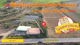 ที่ดินบึงกอก อ.บางระกำ จ.พิษณุโลก ขายยกแปลง 120,000 บาท