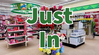 Dollar Tree 2025 | NEW Finds This Week😮😮😮