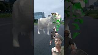 అవును చూడండి 🤩🤩#youtubeshorts #viralvideo #shorts #cow #vfxind #funny