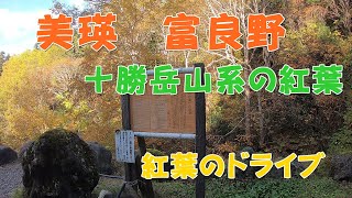 美瑛町【十勝岳温泉～白金温泉】2020 紅葉山降り動画車窓。４倍速 毎年一回の紅葉の旅