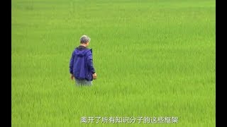 《蒋勋人生六讲》人生的愧疚