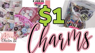 Designer Charms for $1