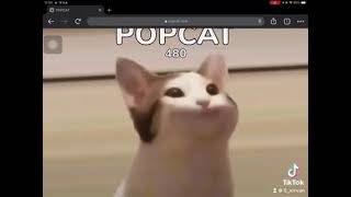 วิธีเล่น POPCAT มาเล่นกันน