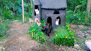 rescue abandoned kitties building amazing kitten cat pet house and a beautiful flower garden