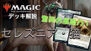 【デッキ紹介】将来性がある！！今から作れるセレズニア猫デッキを解説してもらいました【MTG】【M21】