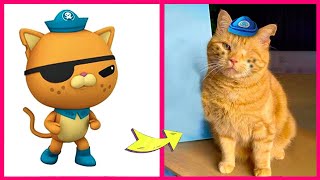 Octonauts Characters And Their Monster, Favorite Pets \u0026 Other Favortes! | Kwazii \u0026 Captain Barnacles