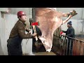 VIDEO Cow HOOF TRIMMING, Feeding, Milking, Cleaning, HOOF CARE, Pretty Girl - SMART FARM #withme