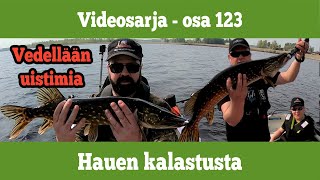 Osa 123 - Hauen kalastusta vetouistelemalla - kausi 2020/2021