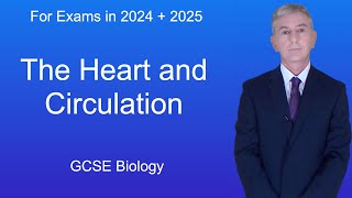 GCSE Biology Revision "The Heart and Circulation"